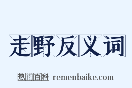 走野反义词是什么意思的图片